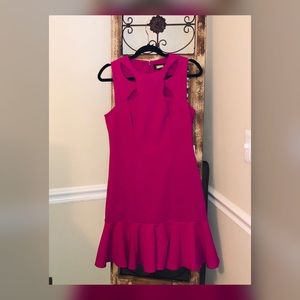 Elegant Fuchsia Dress